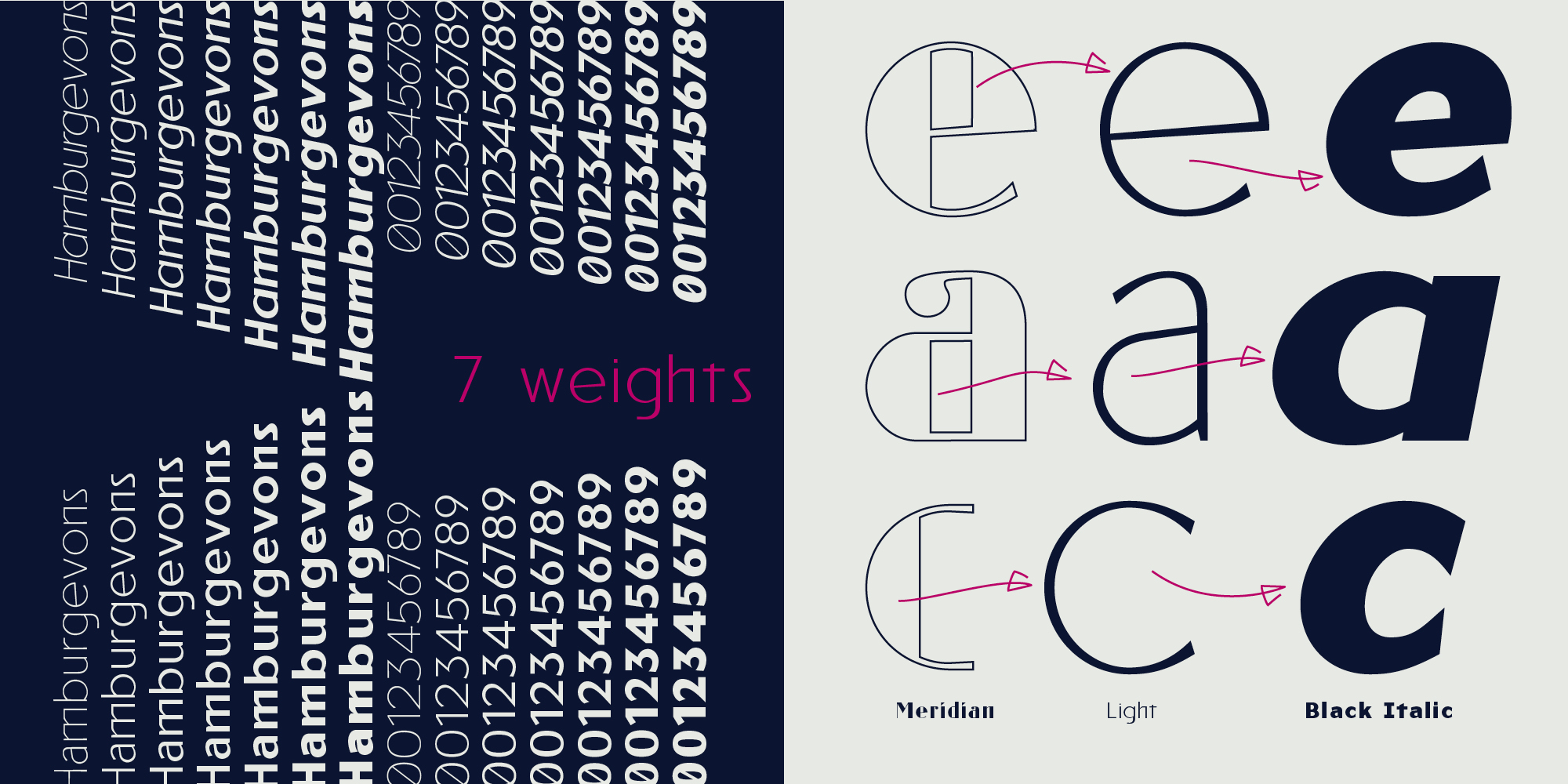 Reiner_Neue_Specimen_myfonts_2000x1000px3