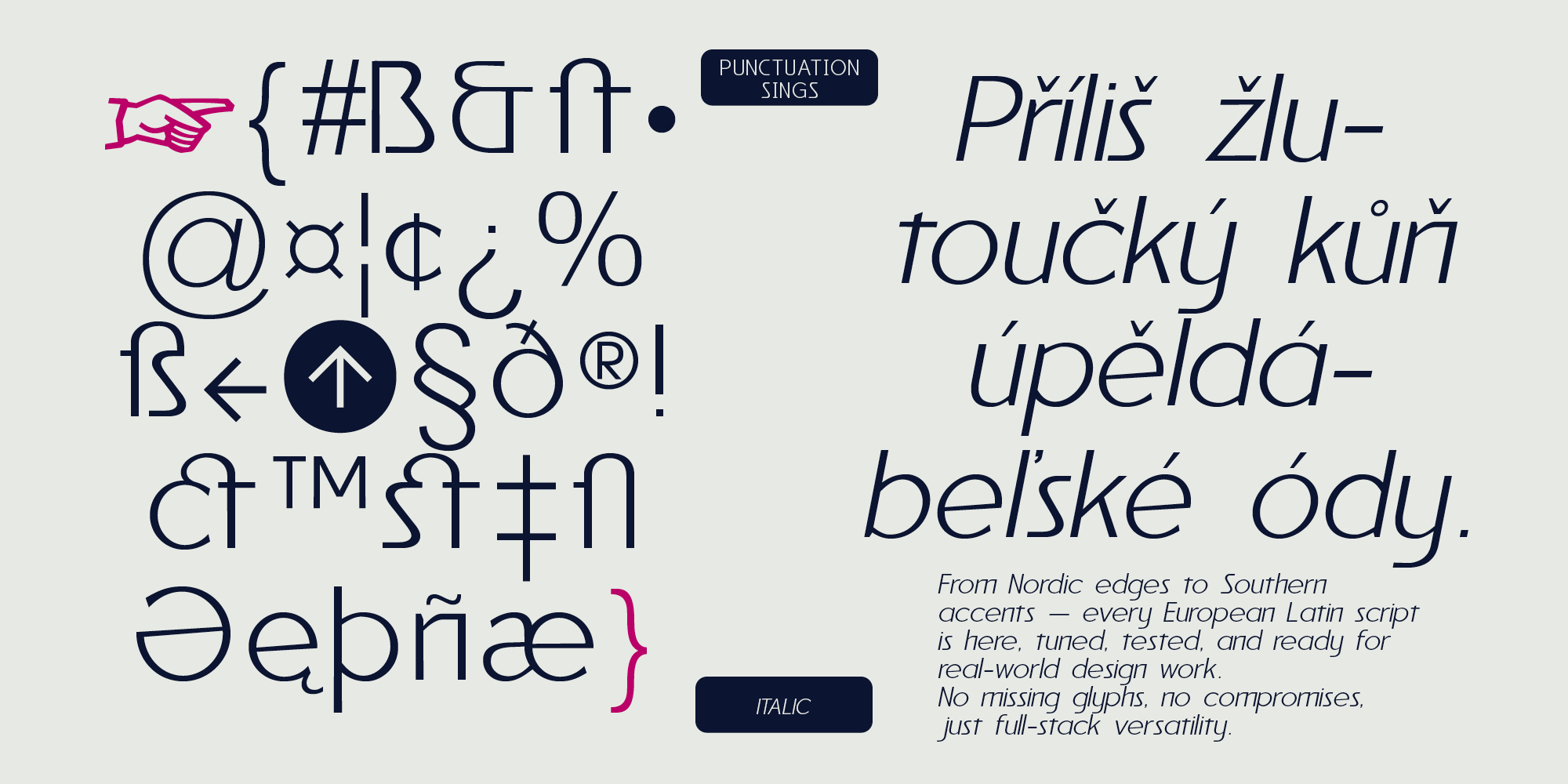 Reiner_Neue_Specimen_myfonts_2000x1000px5