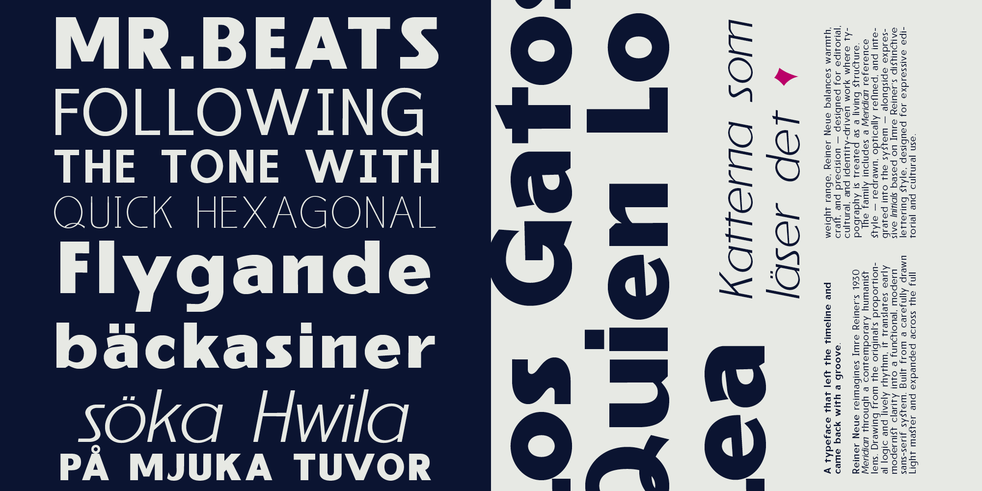 Reiner_Neue_Specimen_myfonts_2000x1000px6